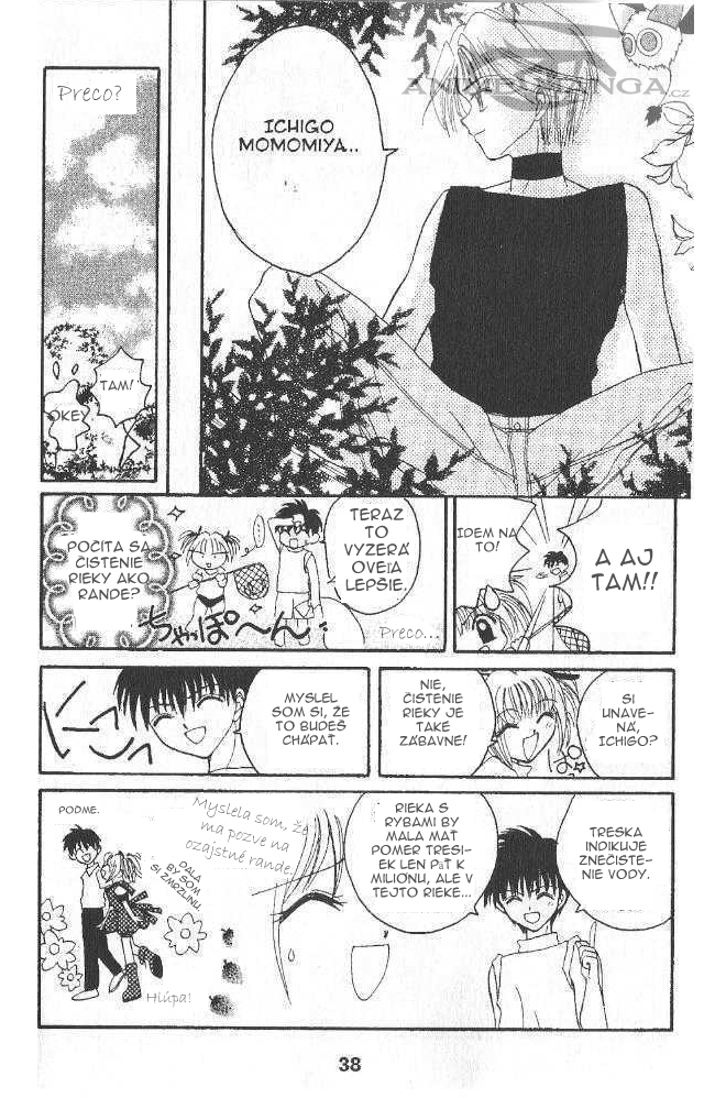 Tokyo Mew Mew 30.jpg
